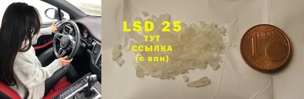ECSTASY Богданович