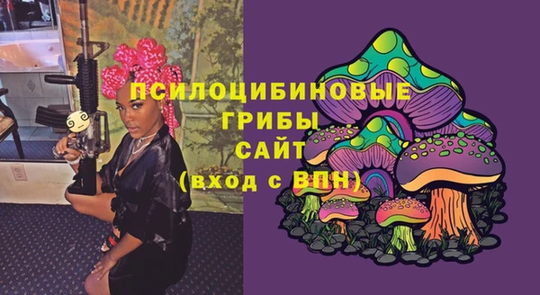 jwh Богородск