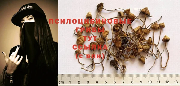 таблы Беломорск