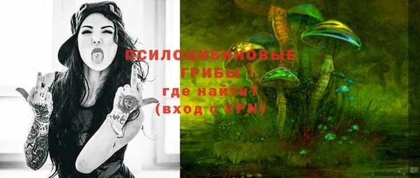 гашик Балабаново