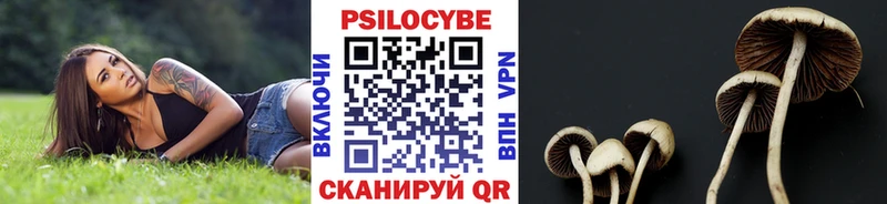 Галлюциногенные грибы мицелий  закладки  даркнет клад  Сердобск 