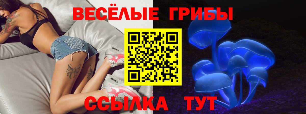 Галлюциногенные грибы ЛСД  Вход с VPN  Сердобск 