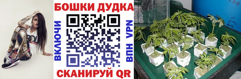 магазин    Сердобск  Марихуана планчик 